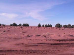 RN 47 El-Bayadh - Béchar