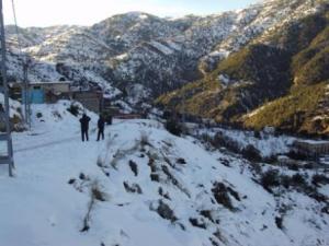 غابات بلدية  المروج  تحت الثلوج 101