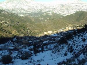 غابات بلدية  المروج  تحت الثلوج 103