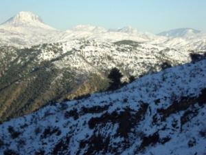 غابات  المروج  تحت الثلوج 1