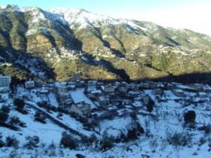 غابات  المروج  تحت الثلوج 3