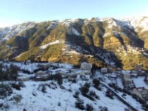 غابات  المروج  تحت الثلوج 4