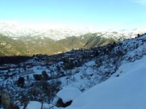 غابات  المروج  تحت الثلوج 5