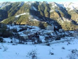 غابات  المروج  تحت الثلوج 6