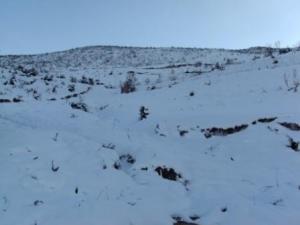 غابات  المروج  تحت الثلوج 7