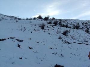 غابات  المروج  تحت الثلوج 8