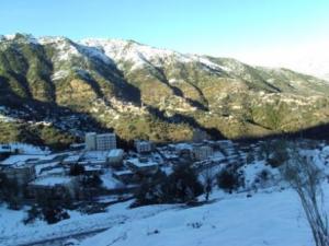 غابات  المروج  تحت الثلوج 9