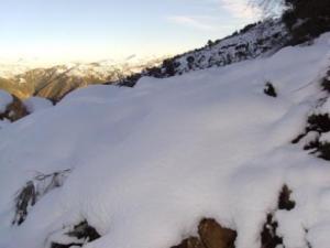 غابات  المروج  تحت الثلوج 10