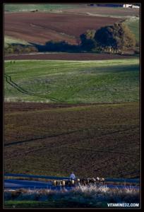 الحقول الزراعية بضواحي شاطئ  مداغ