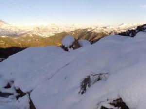 غابات  المروج  تحت الثلوج 11