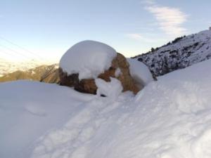 غابات  المروج  تحت الثلوج 12