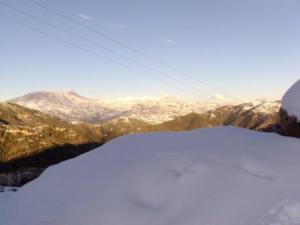 غابات  المروج  تحت الثلوج 13