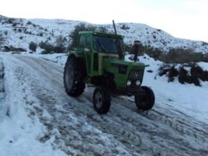 غابات  المروج  تحت الثلوج 14