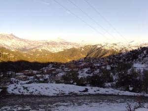 غابات  المروج  تحت الثلوج 15