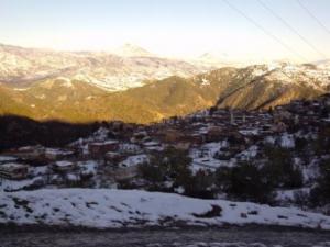 غابات  المروج  تحت الثلوج 16