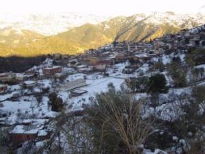 غابات  المروج  تحت الثلوج 18