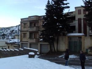 الثلوج تغطي مدينة  المروج  8