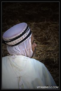 فرسان الوعدة 11