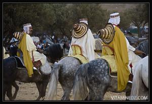 صورة لفرسان الوعدة