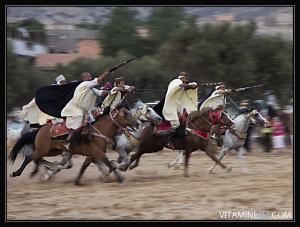 صورة لفرسان الوعدة 1