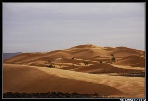 عرق بضواحي مدينة  بني عباس