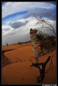 الرمال بضواحي مدينة  بني عباس  3