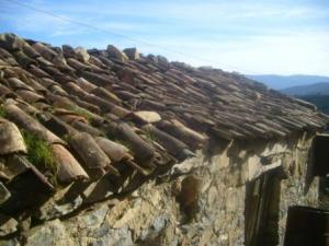 منظر من قرية  إزفاشن  ببلدية  دراع قبيلة  (ولاية سطيف) 12