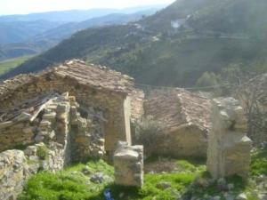 منظر من قرية  إزفاشن  ببلدية  دراع قبيلة  (ولاية سطيف) 18