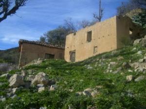 منزل قديم بقرية  إزفاشن  ببلدية  دراع قبيلة  (ولاية سطيف) 2