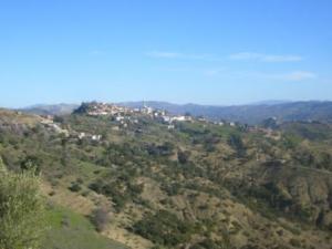 قرية  أڨمرت  ببلدية  دراع قبيلة  (ولاية سطيف) 4