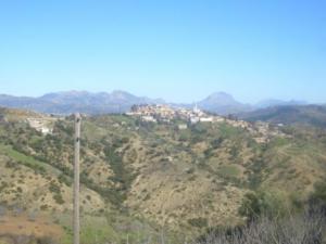 قرية  أڨمرت  ببلدية  دراع قبيلة  (ولاية سطيف) 6