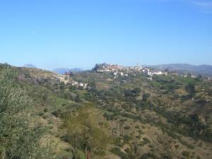 قرية  أڨمرت  ببلدية  دراع قبيلة  (ولاية سطيف) 8