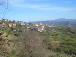 قرية  أڨمرت  ببلدية  دراع قبيلة  (ولاية سطيف) 11