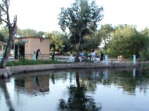 Bassin d'Eau à El Bayadh