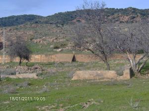 منظر من جبل 'ترني' بولاية 'تلمسان'