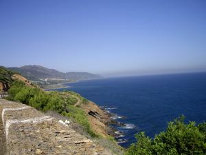 صورة من ساحل  لرحات