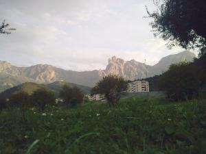 منظر من ضواحي مدينة  واسيف  في فصل الربيع