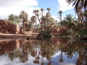 Oasis à El Bayadh