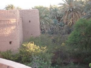 Vue sur le Ksar et l'Oasis de Boussemghoune