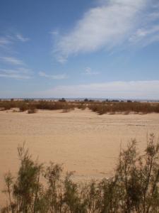 Vue sur le Tassili Nadjer (Wilaya d'Illizi)