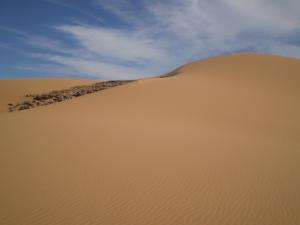 Dune au Sud d'Illizi