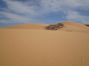 Les Dune au Sud d'Illizi