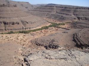 Oasis dans la région de Idarane (Wilaya de Illizi)