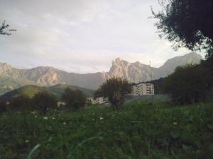 منظر من ضواحي مدينة  واسيف  (1)