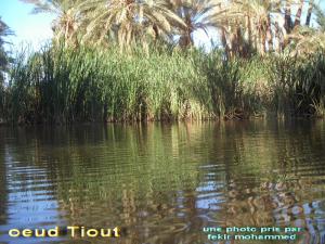 منظر من وادي  تيوت