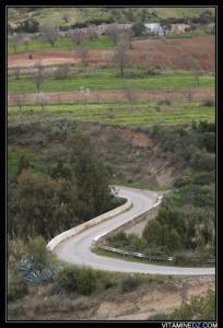 الطريق السابق المؤدي إلى شاطئ   سيدنا يوشع