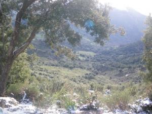 غابات  تيكجدة  بجبال  الجرجرة