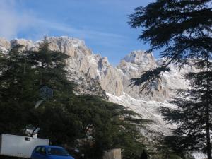 غابات  تيكجدة  بجبال  الجرجرة  1