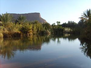 Une Palmeraie à Ihrir (Commune de Djanet)