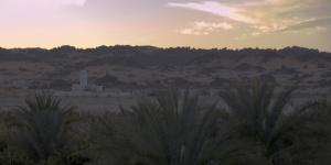 Crépuscule sur les Palmiers du Désert